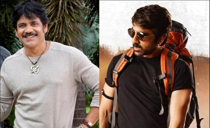 ravi teja,raja the great movie,nagarjuna raju gari gadhi 2 movie  రవితేజకు నాగ్‌కు మద్య పోటీ...! 