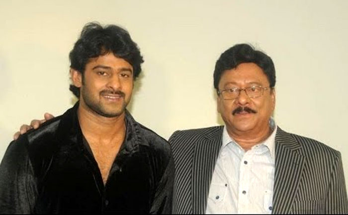 dhandha,prabhas,krishnam raju,dhandha movie  పెదనాన్న కోసం 'దందా' చేస్తాడా..? 