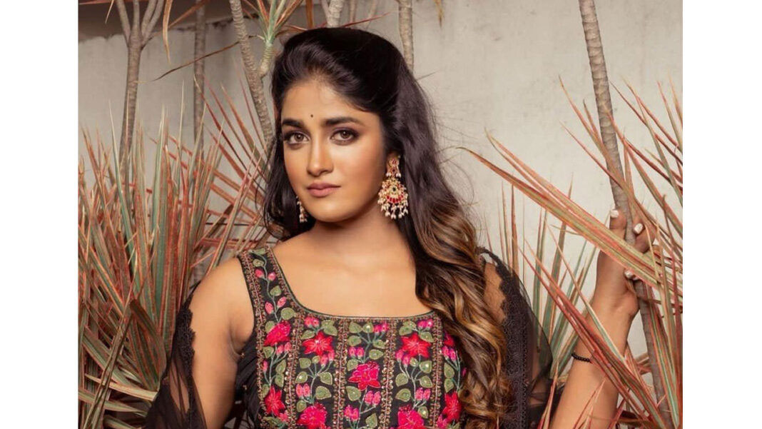 dimple hayathi  మరో వివాదంలో డింపుల్ హయాతి