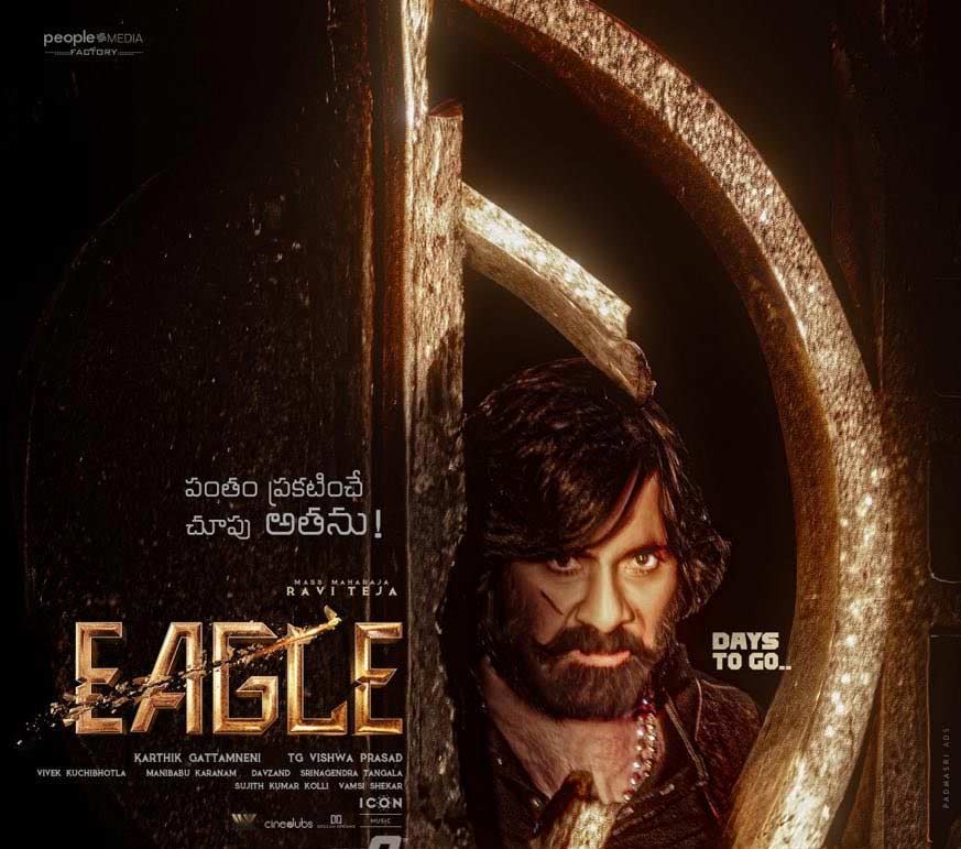 eagle  రవితేజ ఈగల్ ప్రీ రిలీజ్ బిజినెస్ 