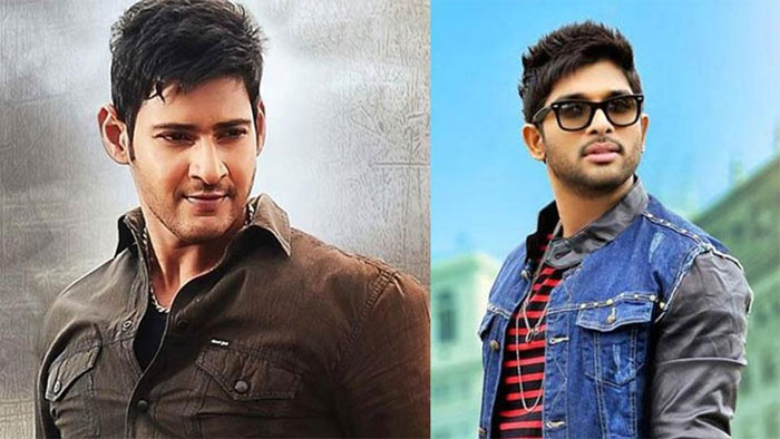 allu arjun,trivikram srinivas,sankranthi race,sarileru neekevvaru,mahesh babu,balakrishna  మహేష్‌కు పోటీగా అల్లు అర్జున్..!