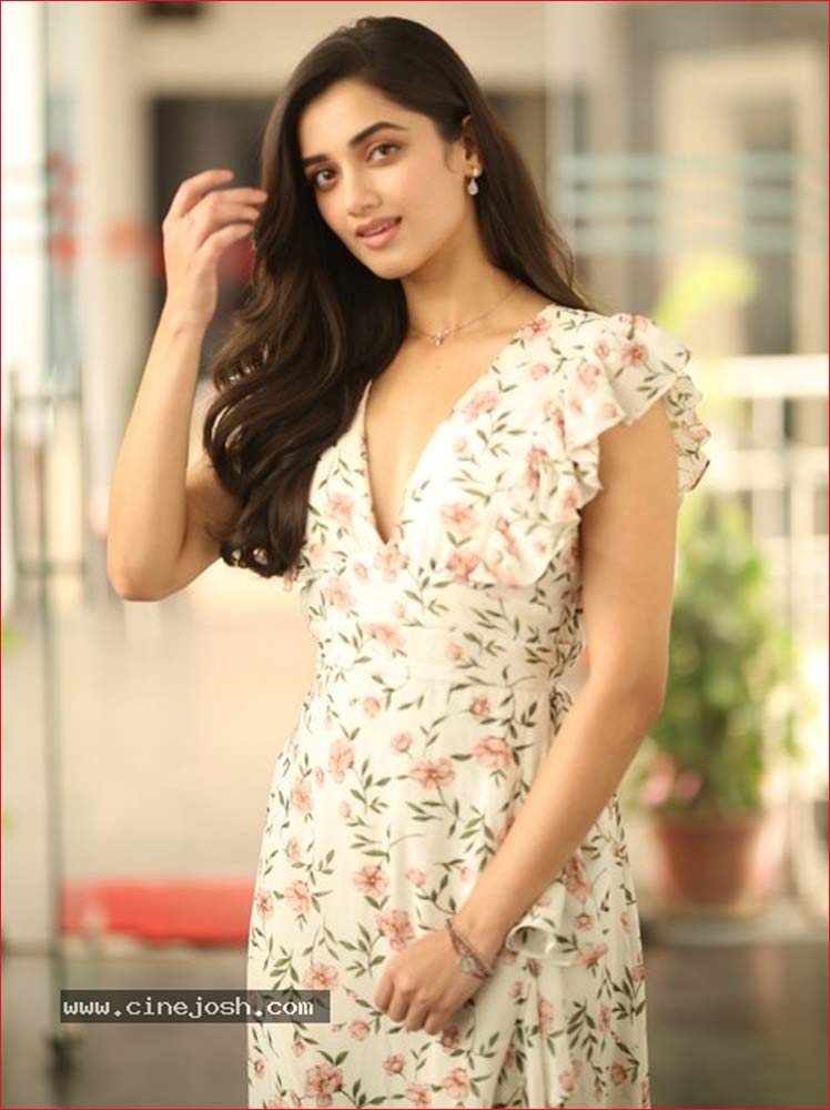 bhagyashree borse  ఫైనల్లీ కొట్టింది హిట్టు 