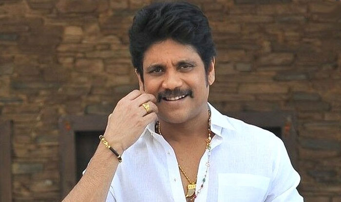 nagarjuna akkineni,ready,2 films,manmadhudu,soggade chinni nayana  ఈ వార్తతో అక్కినేని ఫ్యాన్స్‌కి పండగే!