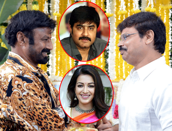 balayya- boyapati movie,catherine tresa,nandamuri balayya,actor srikanth   బాలయ్య మూవీకి హీరోయిన్, విలన్ ఫిక్స్!