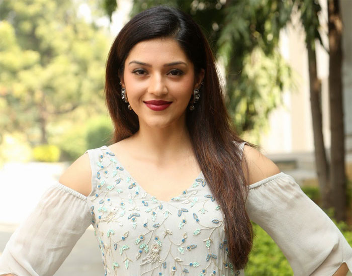 mehreen kaur pirzada,f2 movie,no movies,empty,no offers  బ్లాక్‌బస్టర్ హిట్టు కొట్టినా.. ఈ భామ ఖాళీనే? 