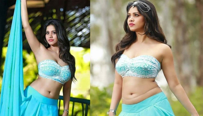 nabha natesh,disco raja,ismart shankar  నభకు ఎలా సాధ్యమవుతోంది..?!