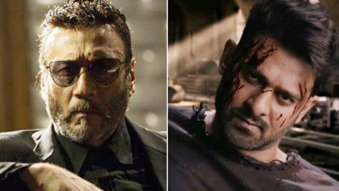 jackie shroff,saaho,prabhas,panja,shakti,villain  ప్రభాస్ ఫ్యాన్స్ ఇప్పుడు భయపడుతున్నారు!