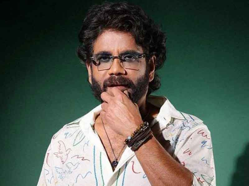 king  కింగ్ 100 స్టోరీ రివీల్డ్ 