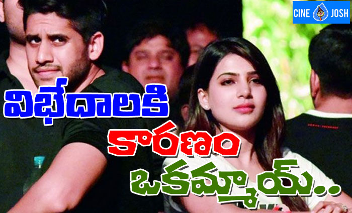 naga chaitanya,samantha,siva nirvana,ninnu kori,misunderstanding  చైతు-సామ్ సంసారంలో విభేదాలకు కారణం!!