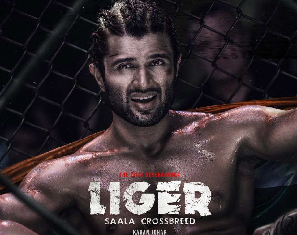 vijay deverakonda,liger,movie,liger collections  లైగర్ 1st Day వరల్డ్ వైడ్ కలెక్షన్స్ 