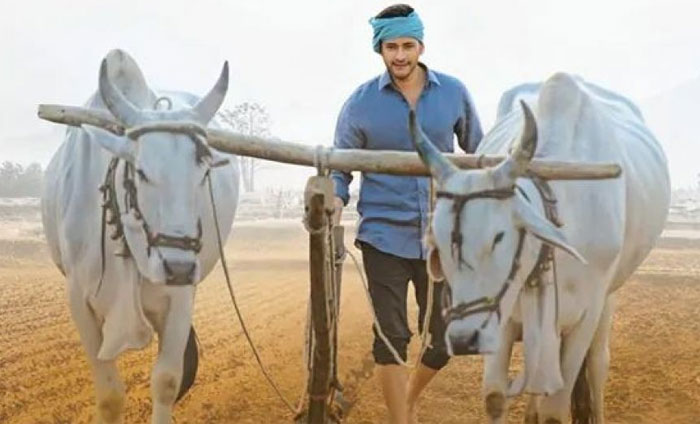 mahesh babu,maharshi,pre release event,24 films,directors,attends  25వ చిత్రం అంటే ఆ మాత్రం ఉండాలి! 