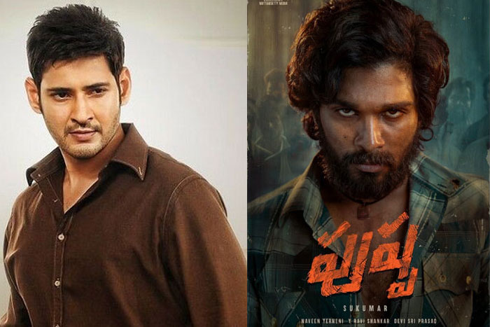 pushpa,rejected,mahesh babu,sukumar,allu arjun,oora mass look  ఆ ఊర మాసే మహేష్‌కి నచ్చలేదంటున్నారు