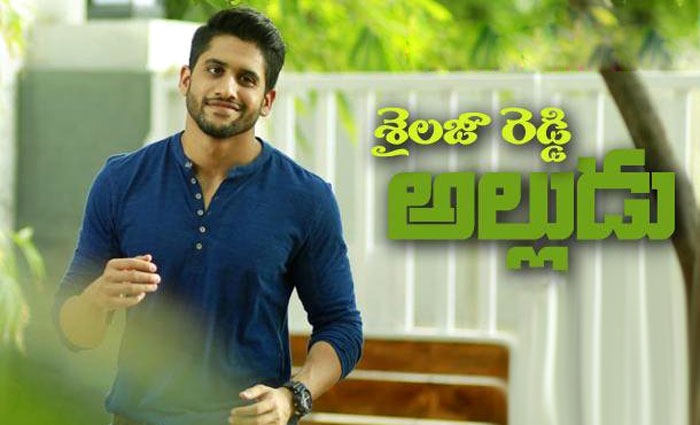 sailaja reddy alludu,director maruthi,sailaja reddy alludu first look  ఆ లుక్‌ శైలజారెడ్డి అల్లుడుది కాదు!