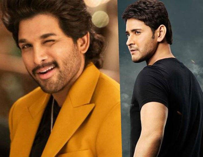 allu arjun,mahesh babu,mass,class,fight,tollywood,box office  ‘అల’ వర్సెస్ ‘సరిలేరు’ ఫైనల్ టాక్ ఇదే!