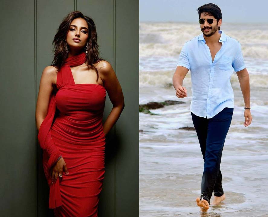 meenakshi chaudhary  చైతూతో లక్కీ బ్యూటీ రొమాన్స్ 