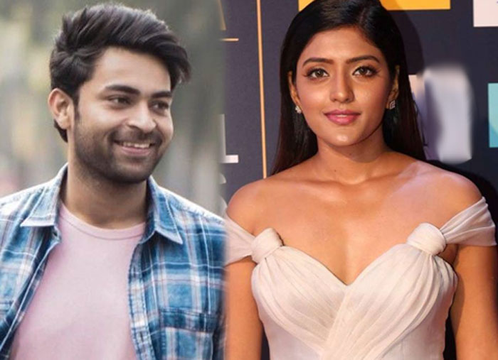 varun tej,valmiki,heroine,eesha rebba  మెగా హీరో తెలుగమ్మాయే కావాలంటున్నాడు