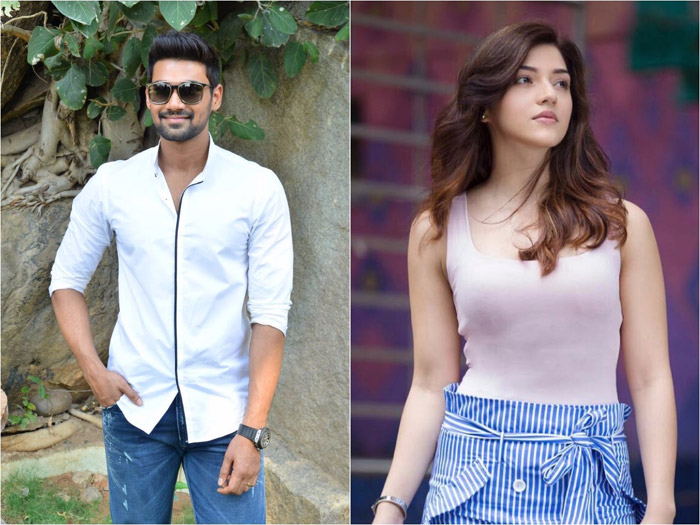 mehreen,happening beauty,bellamkonda sai sreenivas,sreenivas director  బెల్లంకొండ శ్రీ‌నివాస్ సినిమాలో మరో భామ