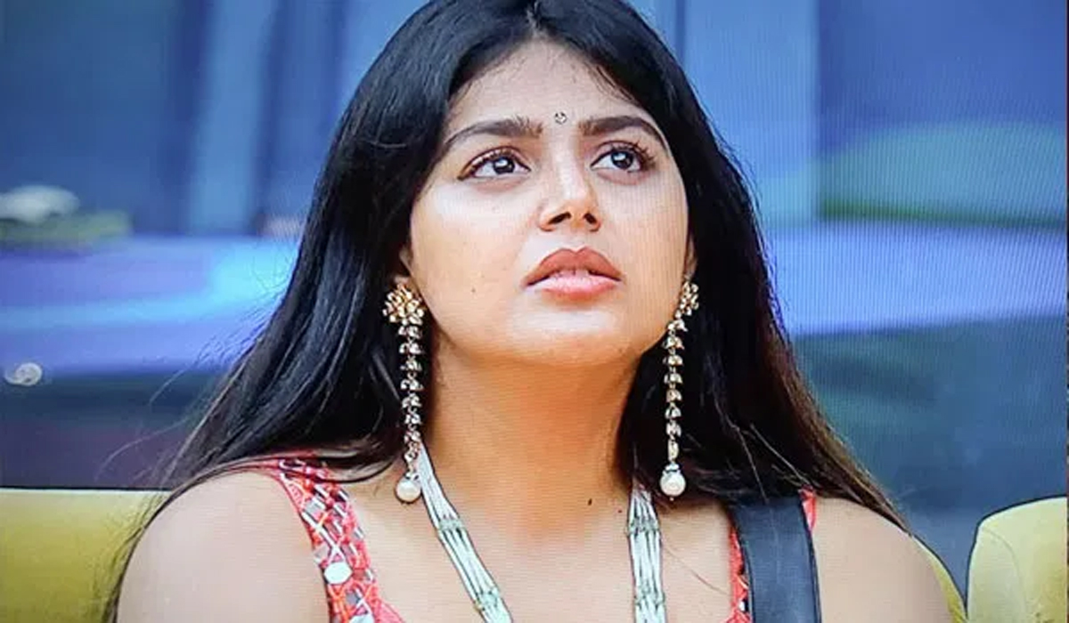 monal,bigg boss 4,bigg boss telugu,nagarjuna  బుల్లితెర ప్రేక్షకులని సంతోషపెట్టిన బిగ్ బాస్!