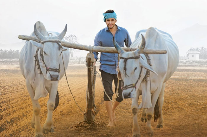 mahesh babu,maharshi,monday test,super star mahesh babu  ‘మహర్షి’ లెక్కేంటో తేలిపోతుంది