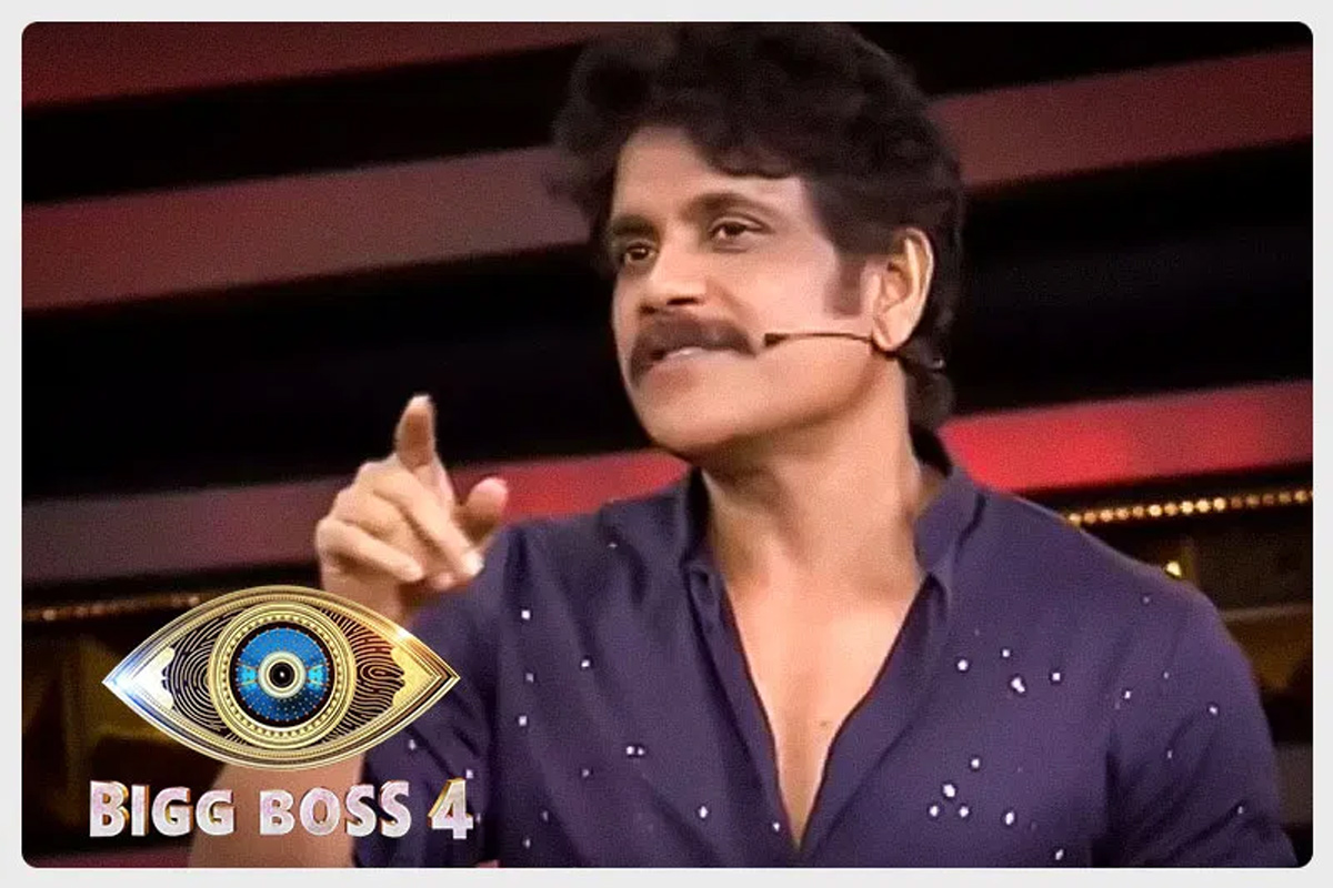 nagarjuna,bigg boss 4,bigg boss telugu,avinash,sohail  నాగార్జున చేతికి దొరికిన సోహైల్, అవినాష్!