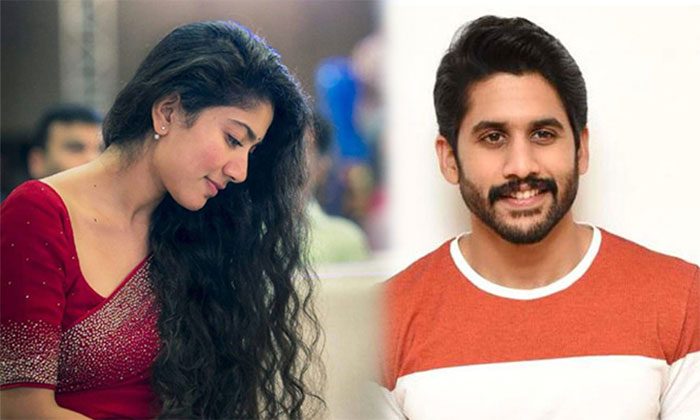 naga chaitanya,sai pallavi,sekhar kammula,direction,new movie  చైతూతో సాయిపల్లవి.. కాంబో అదిరిపోలా?