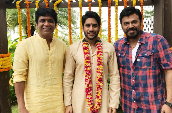 nagarjuna,venkatesh,naga chaitanya,naga chaitanya bridegroom look  పిక్ టాక్:  చైతూ పెళ్లికొడుకాయనే..!