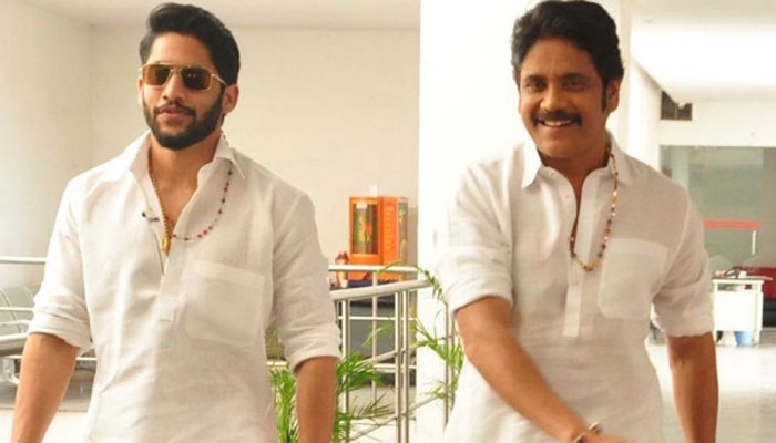 naga chaitanya,nagarjuna,bangarraju,grandson role  ‘బంగార్రాజు’లో అఖిల్ ఏమో గానీ.. చైతూ పక్కా!