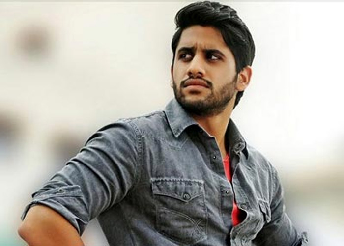 naga chaitanya,samantha,nagarjuna,rarandoi veduka chuddam movie,director kalyan krishna  ఇప్పుడే తొందర ఏలా చైతూ...! 