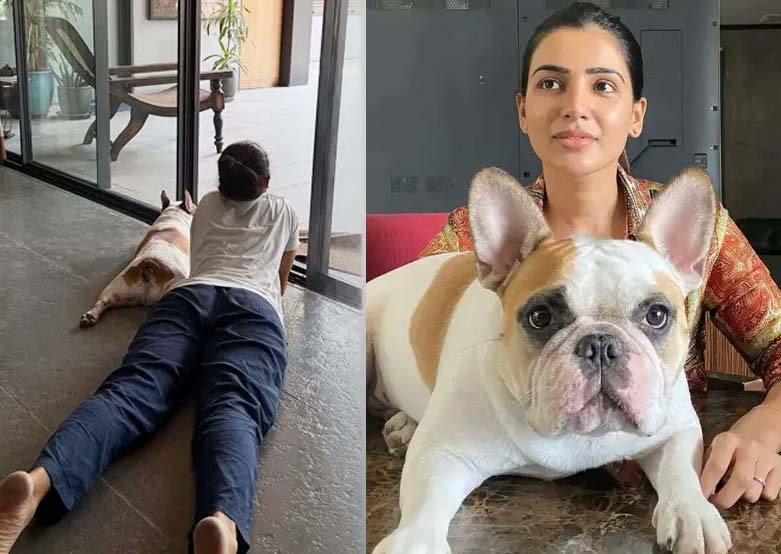 naga chaitanya  అప్పుడు సమంత-ఇప్పుడు శోభిత 