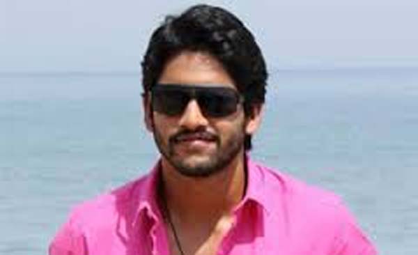 nagachaitanya,kriti sanon,bvsn prasad,dochey movie,jr ntr,sukumar  కొన్నవాళ్లకు సగం నష్టమే!