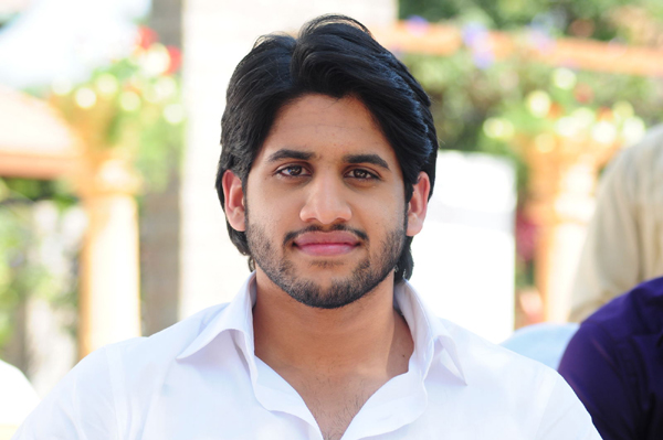 nagachaitanya,nenne pelladutha,nagachaitanya for ninne pelladutha,nagarjuna tabu,krishna vamsi   చైతూ కూడా `నిన్నే పెళ్లాడ‌తా` అంటాడా?