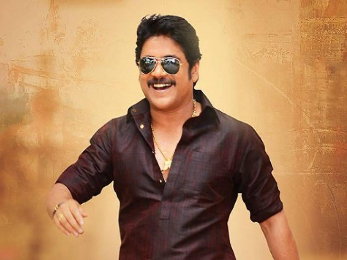 nagarjuna,kalyan krishna,bangaraju movie,bangaraju muhurtam fix  బంగార్రాజు ముహూర్తం ఫిక్స్ 