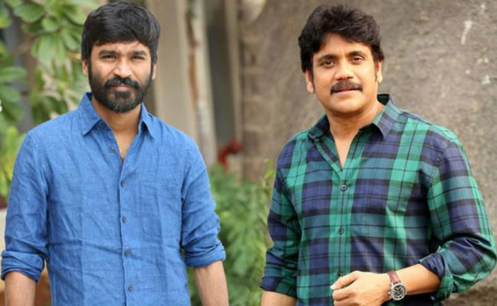 nagarjuna,dhanush,tamil movie,brahmastra,tollywood king  ఇండస్ట్రీతో పనిలేదు .. నాగ్ దున్నేస్తున్నాడు