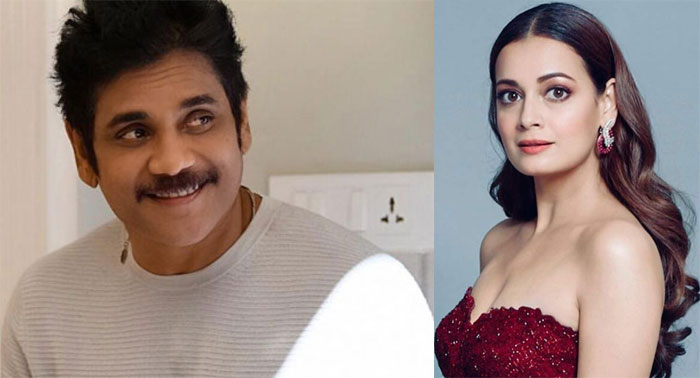 nagarjuna,beauty queens,sushmita sen,aishwarya rai,dia mirza,juhi chawla,tollywood,manmadhudu  బ్యూటీ క్వీన్స్ వెంట‌ప‌డుతున్న నాగ్‌!