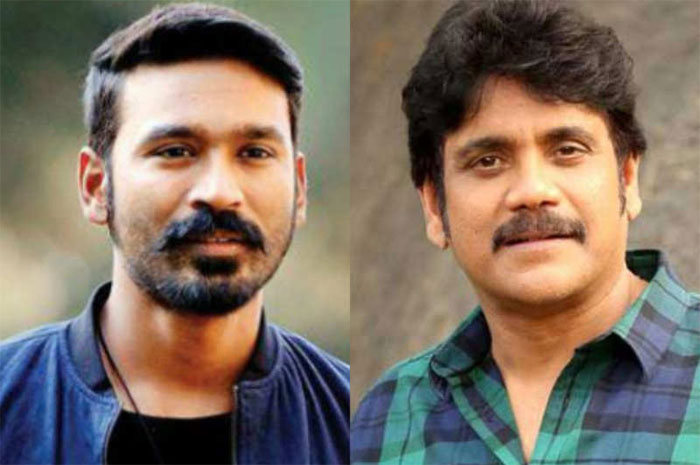 nagarjuna,lord shiva role,dhanush movie  ఈసారి నాగార్జున దేవుడి పాత్రలో! 