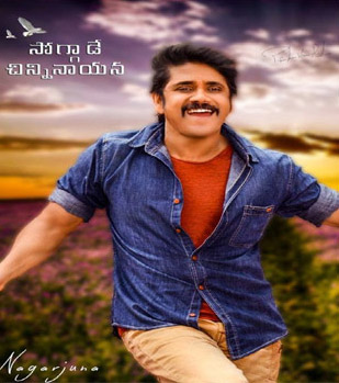 nagarjuna,soggade chinni nayana,maithri movie,remake  ఆ వార్తలను ఖండించిన నాగ్‌...!