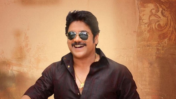 nagarjuna,soggade chinni nayana,comedy jonar,ramyakrishna  కామెడీని నమ్ముకున్న నాగ్‌..! 