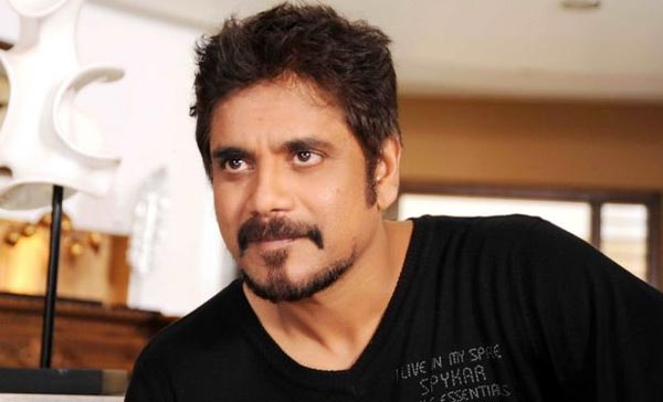 nagarjuna,soggade chinni nayana,oopiri,pvp  నాగార్జున ఎదుట పెద్ద చిక్కు ప్రశ్న! 