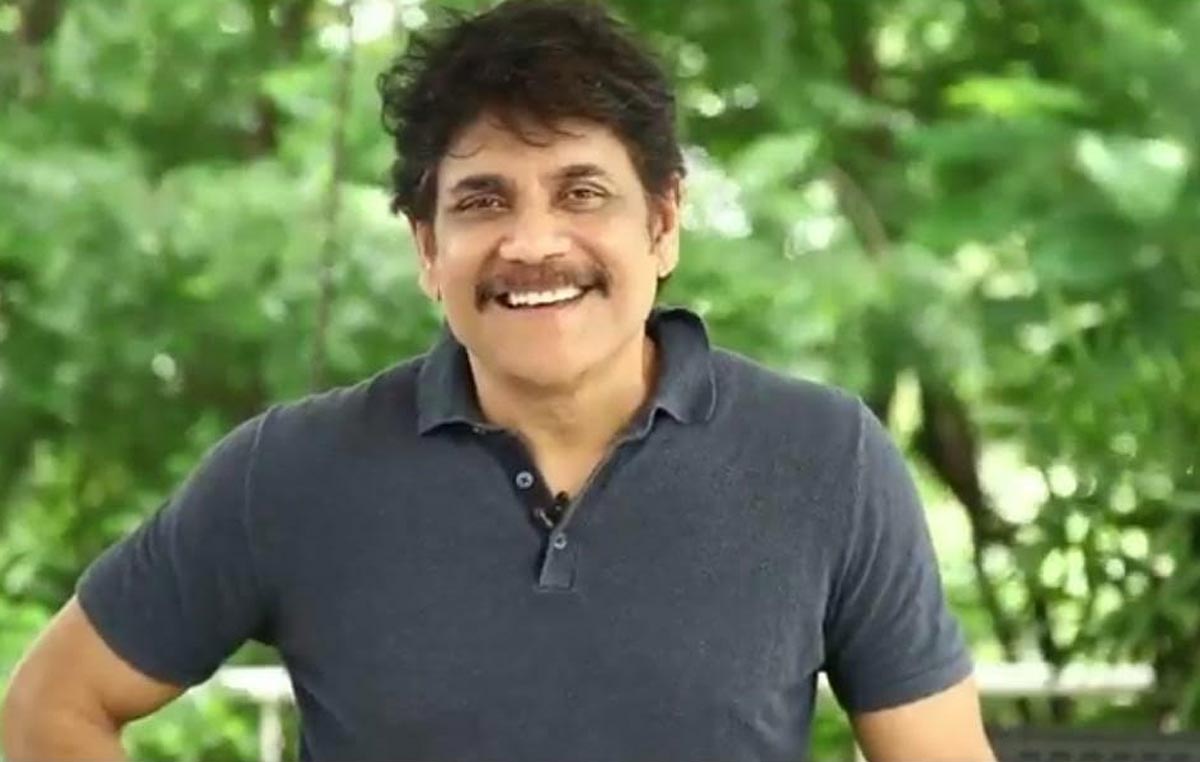 nagarjuna,special,tweet,birthday special,bigg boss,season 4  ఇవాళ నా 31వ పుట్టినరోజు: కింగ్ నాగ్