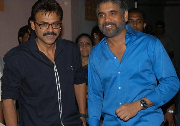 nagarjuna,venkatesh,kranthi madhav,santhosham sagam balam  వెంకీ నుండి నాగ్‌కు..? 