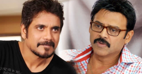 nagarjuna,venkatesh,premam movie,venkey nag combination,naga chaithanya  నాగ్‌ - వెంకీలు ఒకే సినిమాలోనా! 