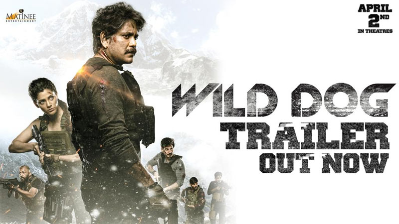 nagarjuna,wild dog,wild dog trailer out,megastar launches wild dog trailer,wild dog april 2nd release,wild dog movie review,nag wild dog review,nagarjuna wild dog  ఇంట్రెస్టింగ్ వైల్డ్ డాగ్