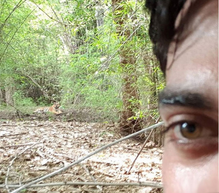 navadeep,selfie,tiger,forest  'ఏరా.. పులి' ఈ డైలాగ్ ఎక్కడో విన్నట్టుందే!