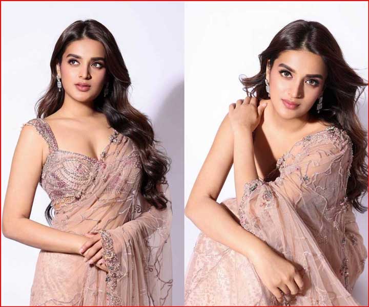 nidhhi agerwal  ఈ నిధి ని కాస్త పట్టించుకోండి