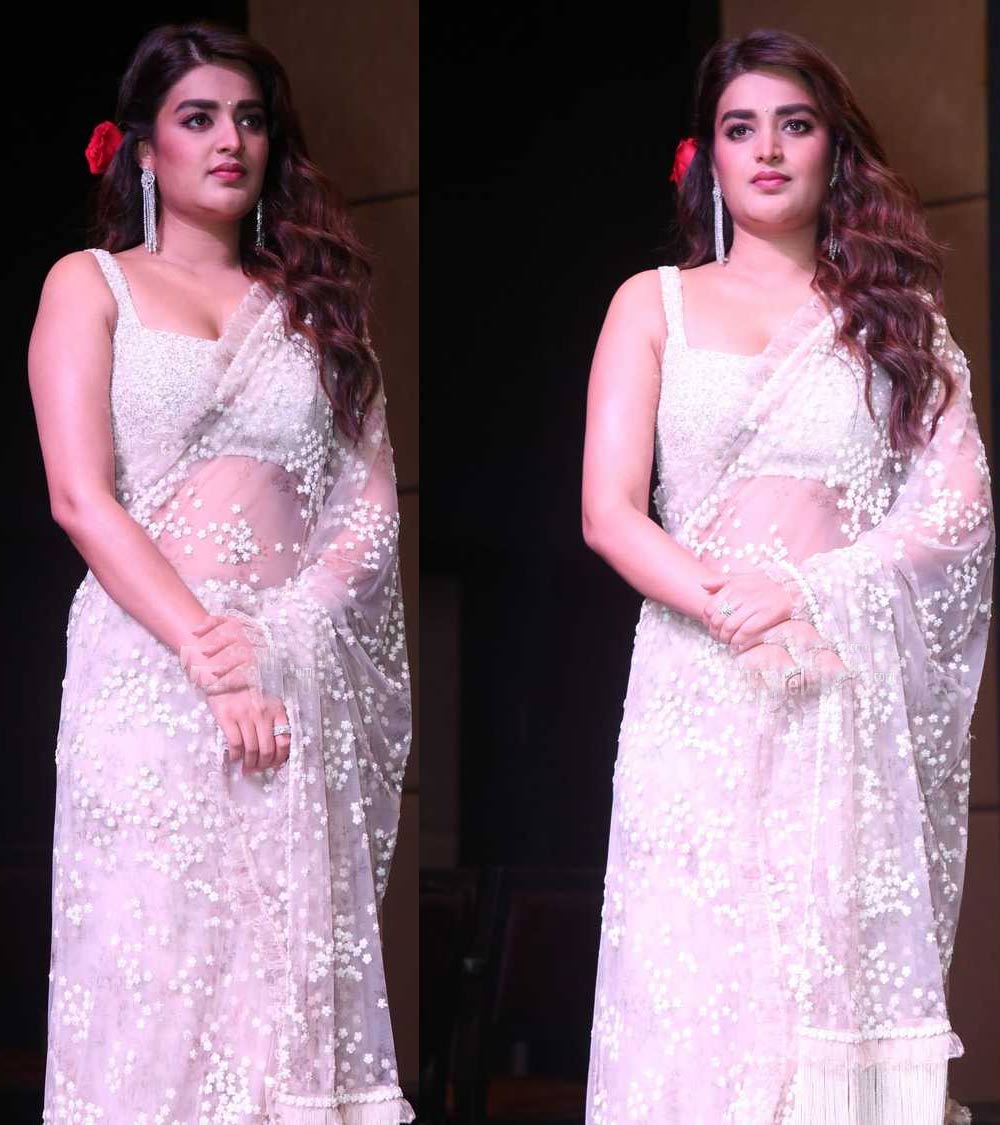 nidhi agerwal  కష్టానికి ప్రతిఫలం దక్కేనా 