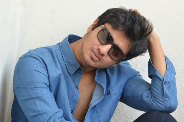 nikhil,sankarabaranam,tiger movie,vi anand  నిఖిల్‌ సినిమా ఆలస్యానికి కారణం? 