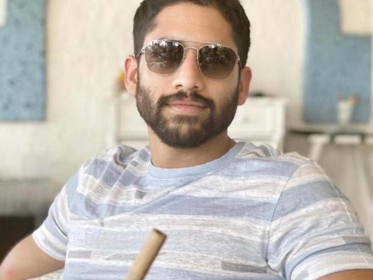 naga chaitanya,parasuram  ఇకపై అక్కినేని కాపాండ్ లోకి నో ఎంట్రీ 