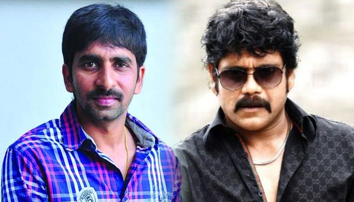 akkineni nagarjuna,gopichand malineni,nag new movie,bangarraju  అబ్బే.. నాగ్‌తో నేను సినిమా తీయట్లేదు..!