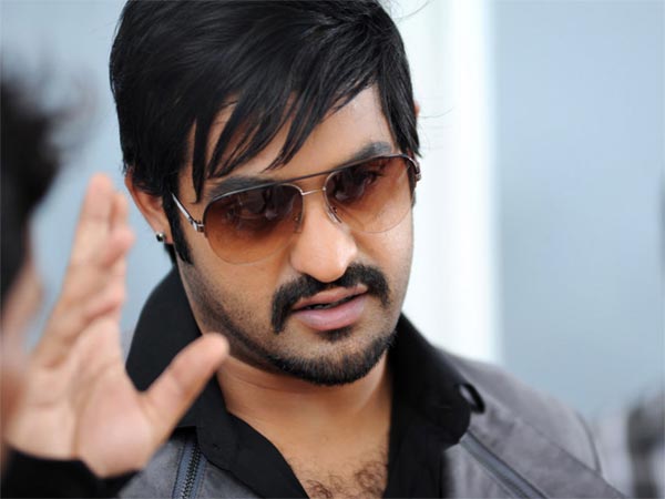 ntr,badhsha,temper,20 luxury flats,real estate  ఎన్టీఆర్ కొత్త వ్యాపారం!