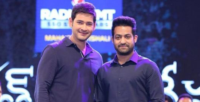 young tiger ntr,mahesh babu,aravinda sametha,reaction,ram charan  మహేష్ కోసం.. ఎన్టీఆర్ ఫ్యాన్స్‌ వెయిటింగ్!!